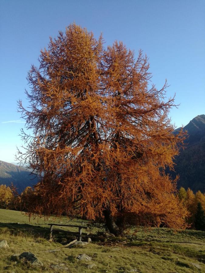 Angeli Dolomiti House Lejlighed Croviana Eksteriør billede